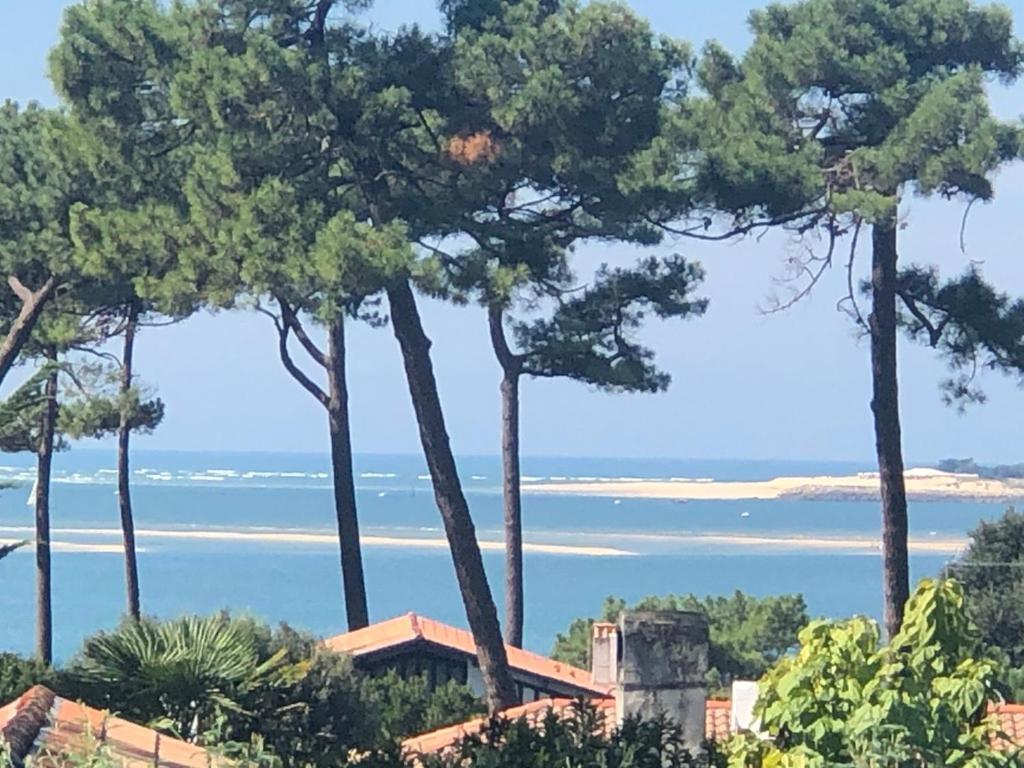 Chambre D'Hotes Pyla Sur Mer Ла-Тест-де-Бюш Экстерьер фото